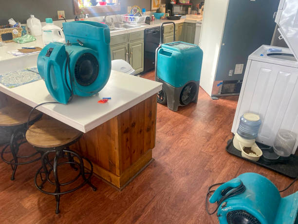 Best Commercial water damage restoration  in Perry, UT