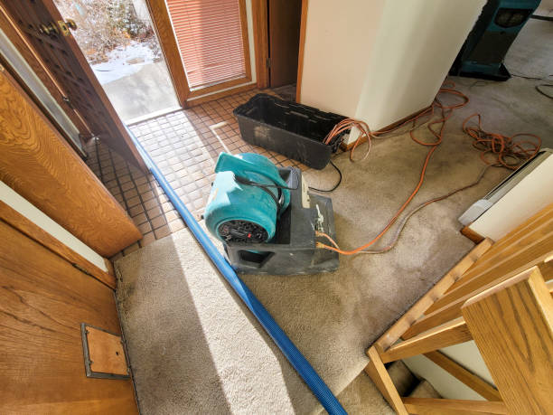 Best Water damage contractors near me  in Perry, UT