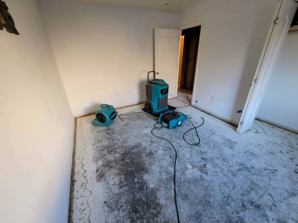 Best Flood restoration services  in Perry, UT