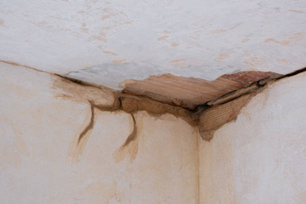 Best Local water damage restoration  in Perry, UT