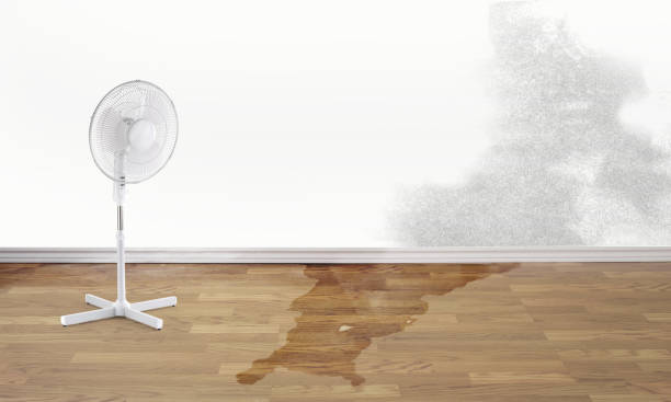 Best Water damage restoration process  in Perry, UT