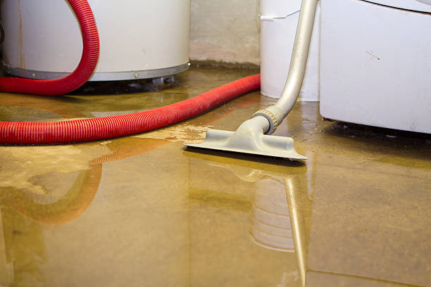 Best Flooded house restoration  in Perry, UT