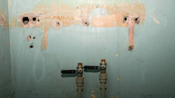 Best Emergency water damage restoration  in Perry, UT