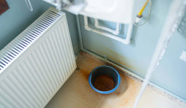 Best Ceiling water damage repair  in Perry, UT