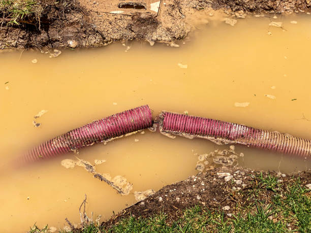 Best Water damage contractors near me  in Perry, UT