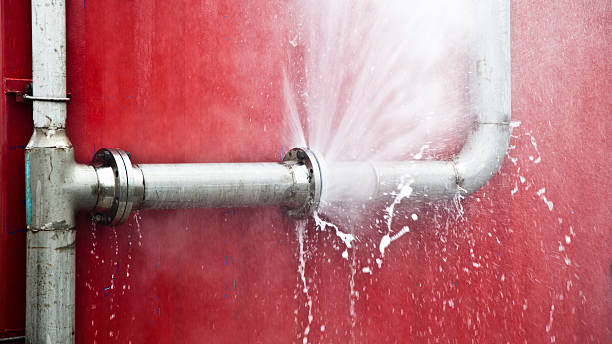 Best Water damage cleanup near me  in Perry, UT